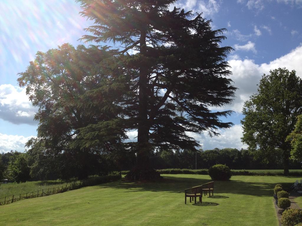 Overton Grange Country Hotel Ludlow Eksteriør billede